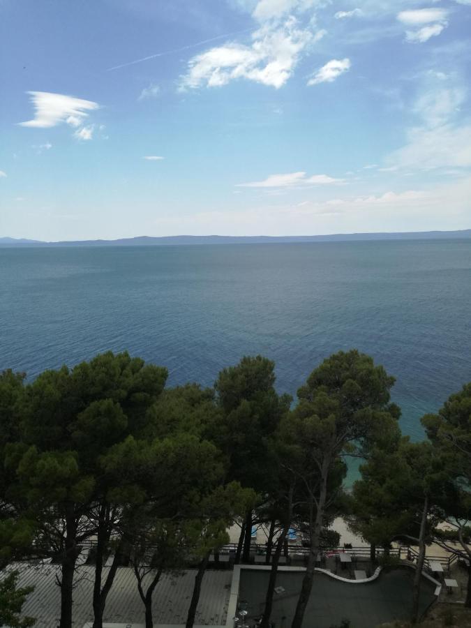 Apartmani Izabela *